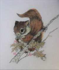 Dessin mignon d’un écureuil, Cute Drawing of a squirrel!