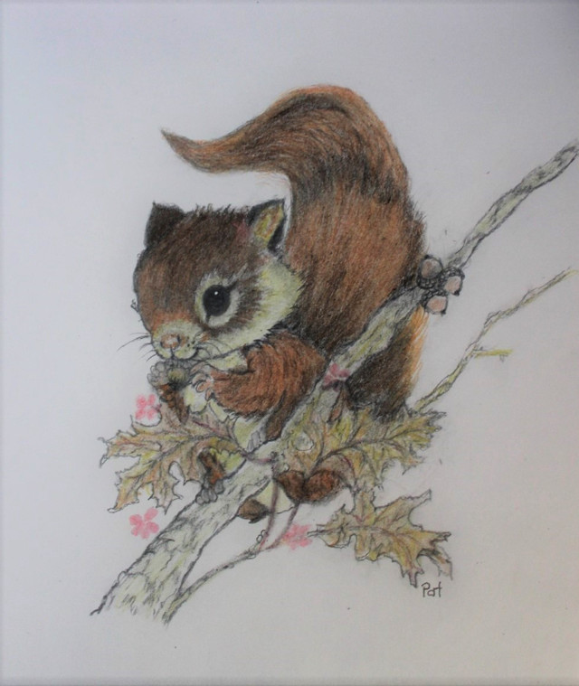Dessin mignon d’un écureuil, Cute Drawing of a squirrel! dans Art et objets de collection  à Ville de Montréal