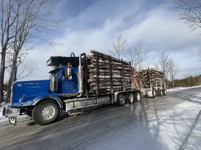 firewood logs, View more