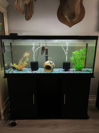 75 gallon tank with stand. Etc $400 obo (pending pick up)