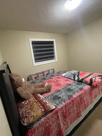 Room for rent. Looking for indian girl to rent a room. Wifi, electricity will be included in rent. F...