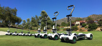 ELECTRIC GOLFBOARD