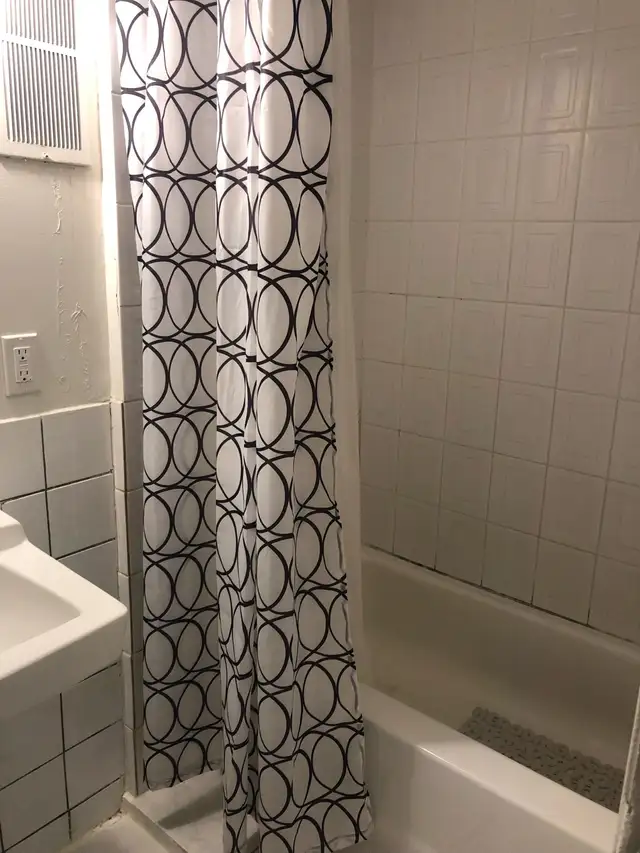 One Bedroom Walkout Basement in MALTON in Long Term Rentals in Mississauga / Peel Region - Image 6