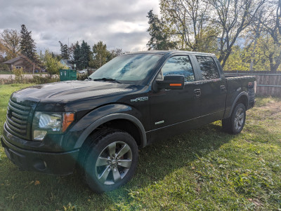 2012 Ford F150 FX4