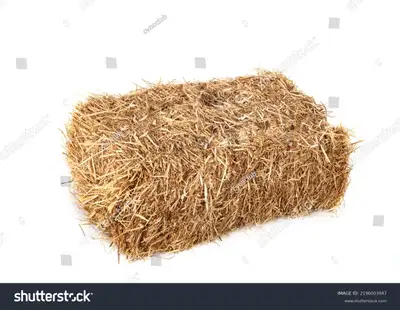 Petite balle de foin pour jardin ou paillis seulement. J'en ai des dizaines Je suis de St-Rémi-de-Ti...