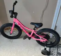NEW, Never Used, Trek Precaliber 16 Kids Bike 
