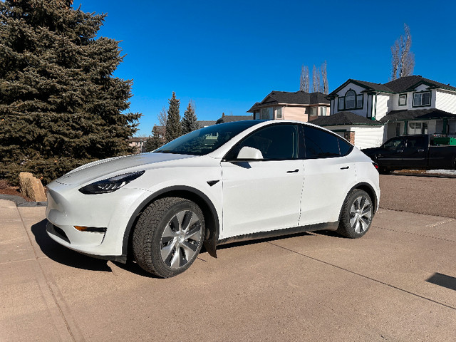 2021 Tesla Y for sale in Cars & Trucks in Calgary - Image 4