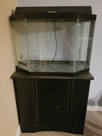 Aquarium and accessories