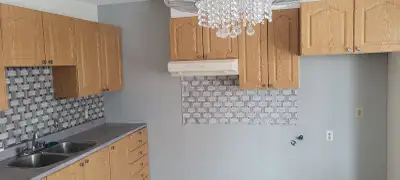 Grand 5 1/2 illuminé et partiellement renové. ( Non chauffé Non éclairé) Inclusion: Laveuse-secheuse...