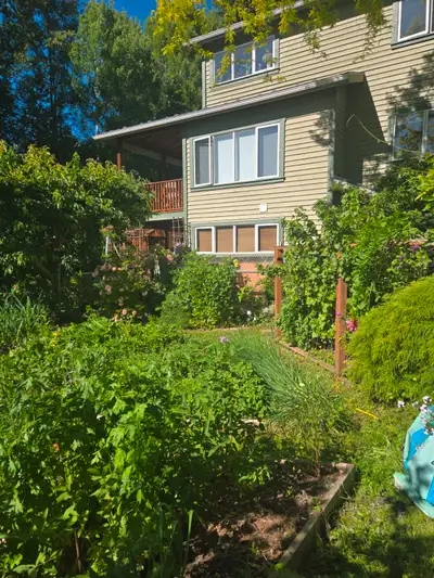 Affordable sublet house rental  for July and care for cat