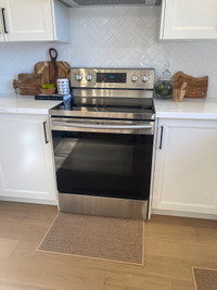 Samsung Electric stove 