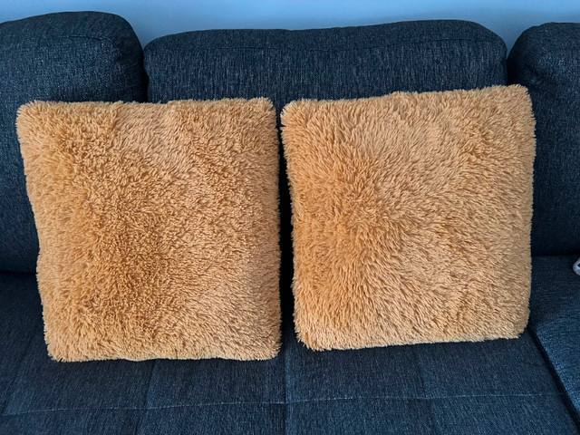 Decorative Pillows in Home Décor & Accents in Oshawa / Durham Region