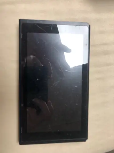 Tablet only animal crossing edition works great
