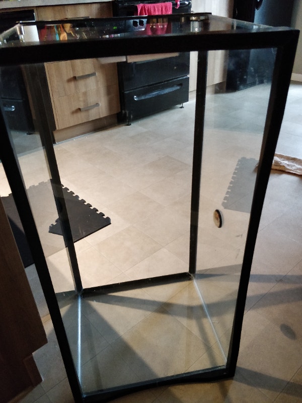 40 gallon reptile terrarium Reptiles & Amphibians for Rehoming