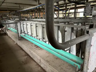 Sheep/Goat Milking Parlour, View more