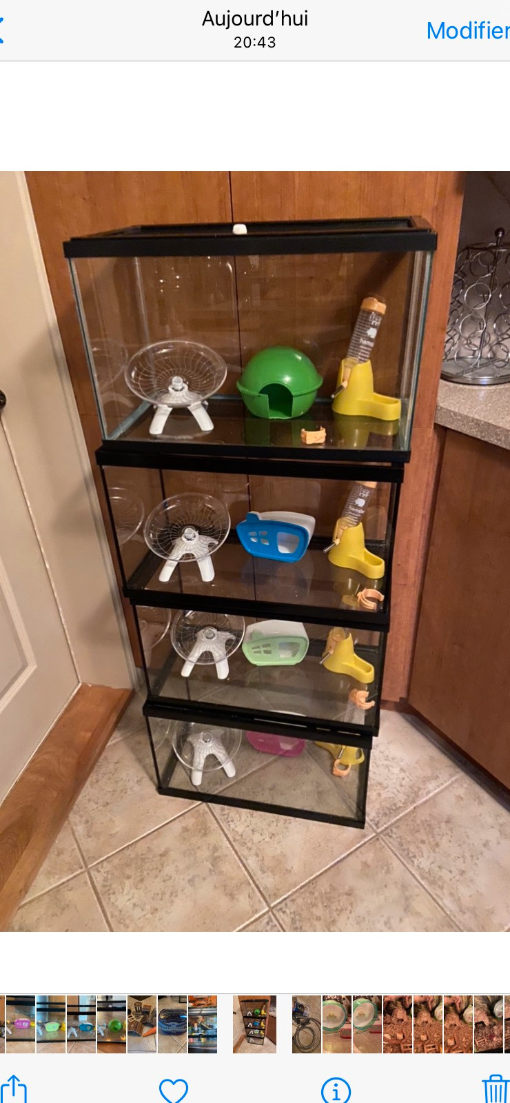 Terrarium 20x10x12 avec accessoires Petits animaux à adopter