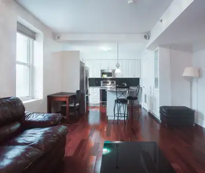 Furnished Downtown One Bedroom - 1 Month FREE