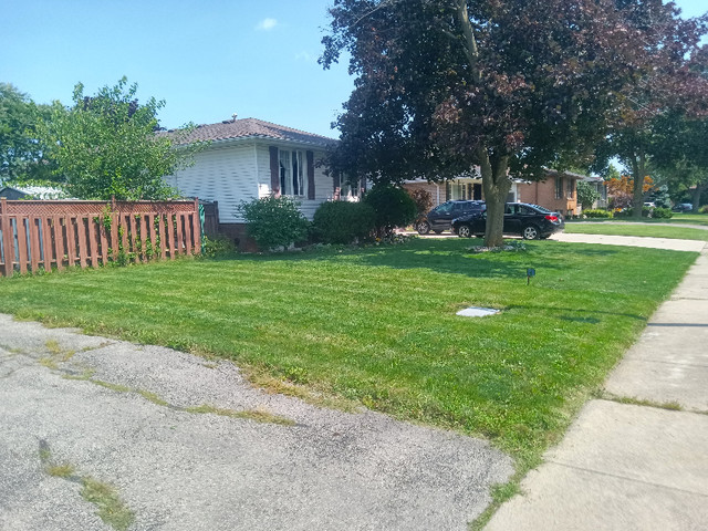 LAWNCARE & LANDSCAPING in Lawn, Tree Maintenance & Eavestrough in Hamilton - Image 3