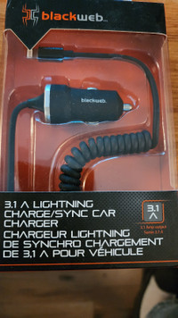 3.1 Lightning charger/sync car charger