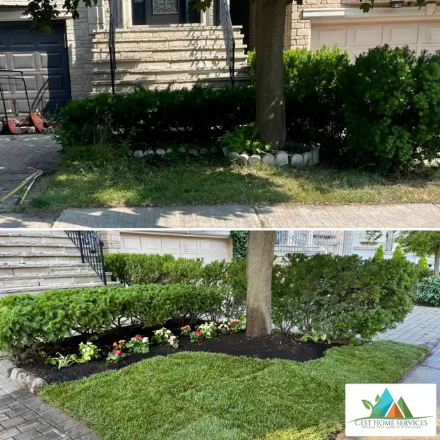 Lawn Mowing/Leaf Cleanup/Fall Cleanup/Yard Cleanup/Grass Cutting63672000006401122