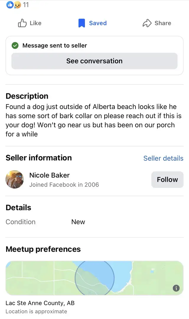 Lost  Sweet Baby(Doggy)!!!—Needs to Get Home in Lost & Found in Edmonton - Image 7