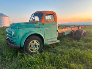 1953 doge