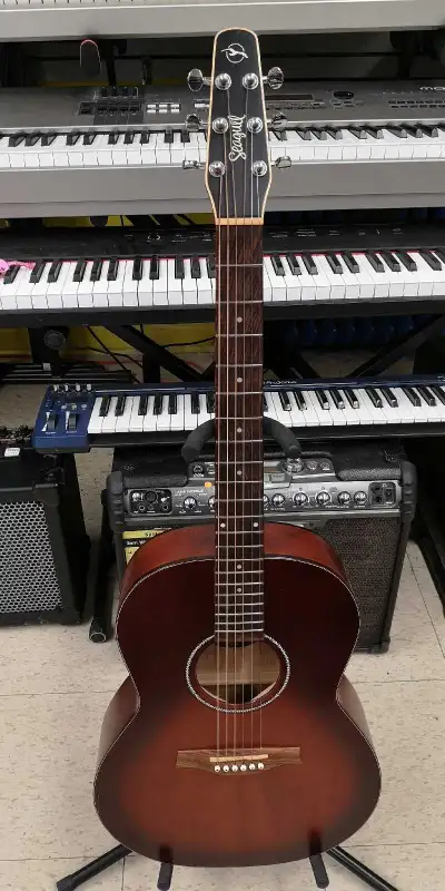 Guitare Electroacoustique Seagull, View more