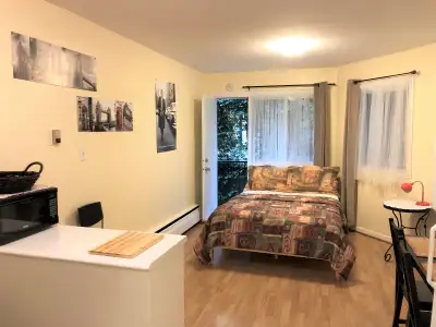 STUDIO 1 1/2 LIBRE PLATEAU