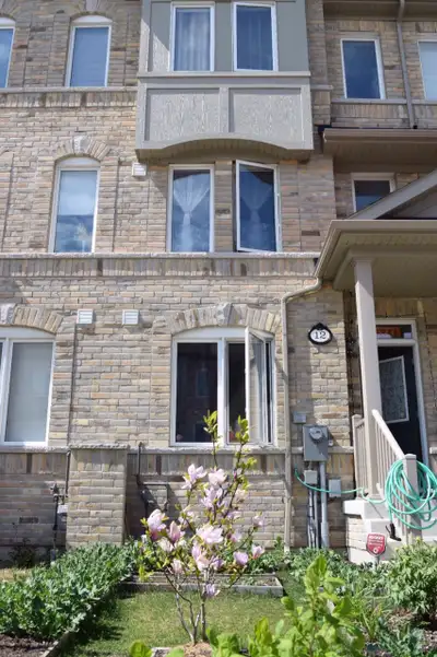 Ellesmere & Midland Suite & Room for rent.
