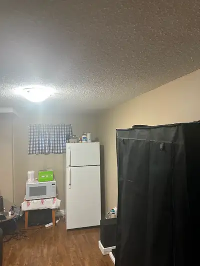Private, clean, and fully furnished room available in a quiet home near Bramalea City Centre. Ideal...