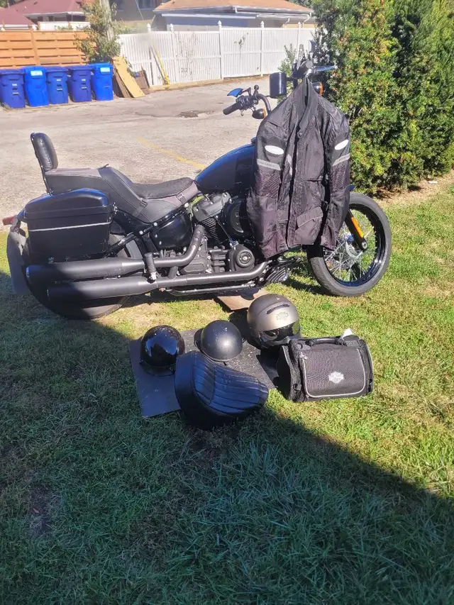2019 harley davidson street bob in Street, Cruisers & Choppers in Windsor Region - Image 6