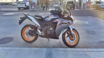 Such a great & smooth riding bike! Not wanting to get rid of it but have to. No issues, no damage.