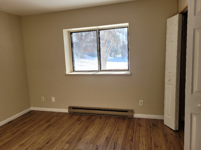 40-01 Goodine Street, One Bedroom in Long Term Rentals in Fredericton - Image 4