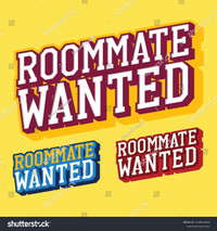 Looking for roommate (s) to rent a big appartement or condo