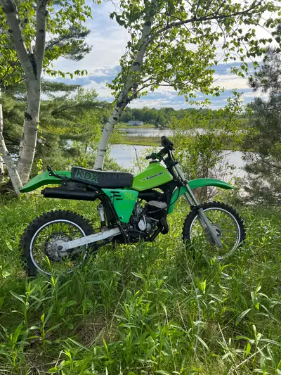 Runs drive brakes work good brand new carb and air filter probably need a tune up but fun an very fa...