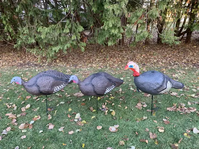 Turkey decoy in Other in London - Image 2