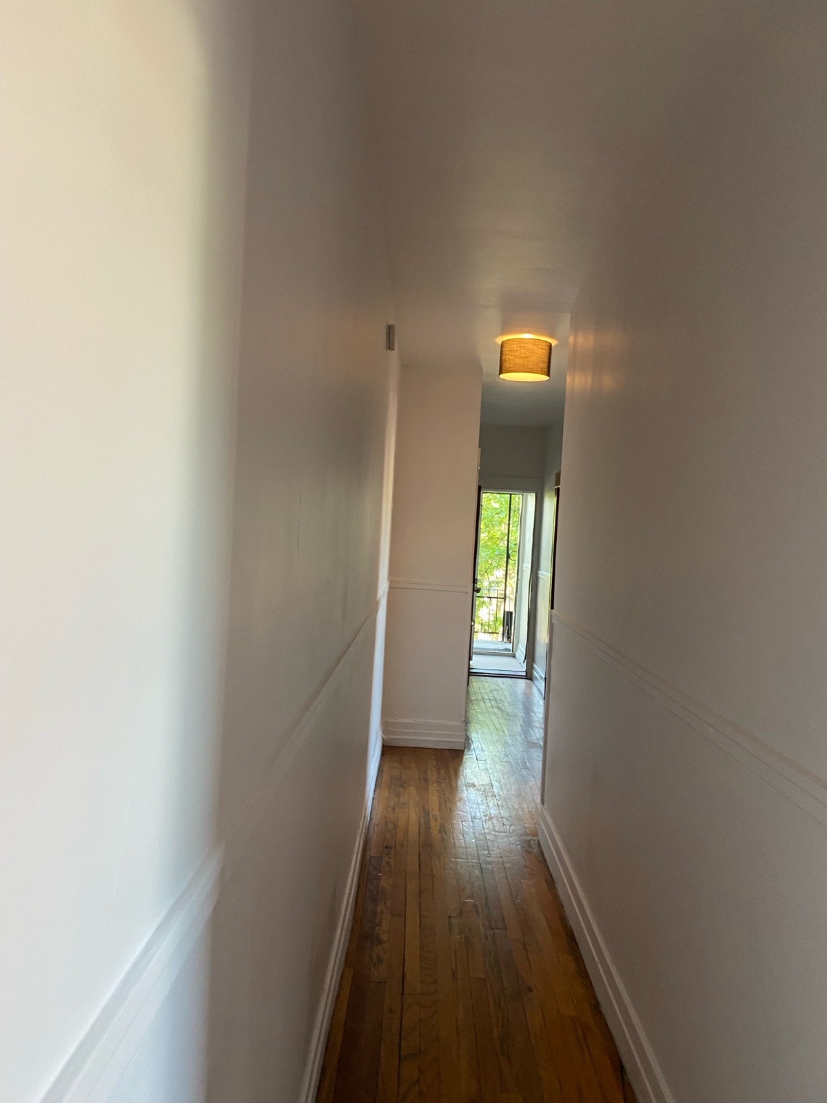 7768 Rue St-Hubert — photo 3