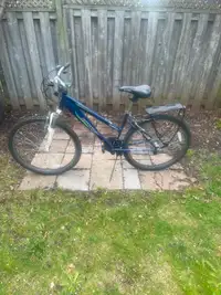 Two Bikes for Sale