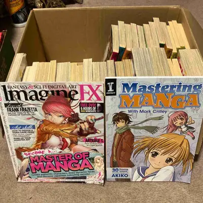 Manga Books Anime Books, View more
