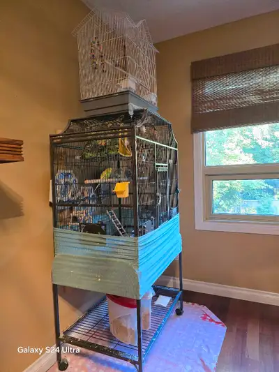 LUXURY Full Sized Bird Cages/Australian Budgies, View more