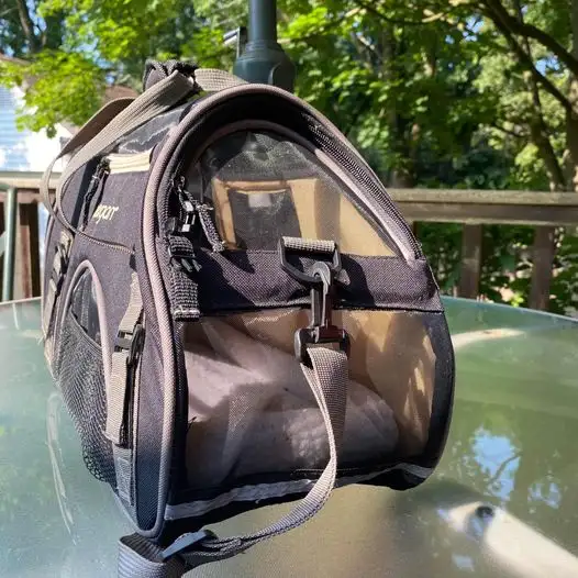 Like New Bergan small pet carrier — airline approved in Accessories in Brantford - Image 6