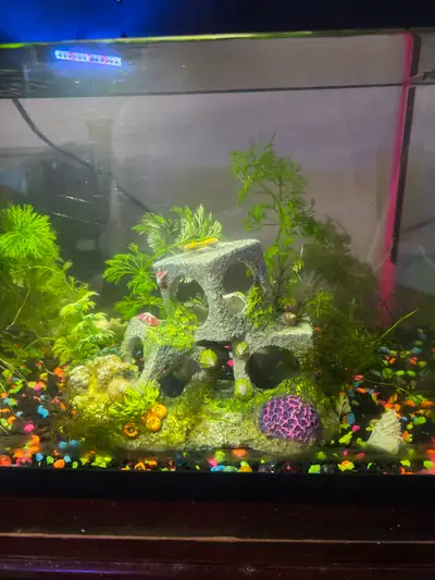Aquarium, View more