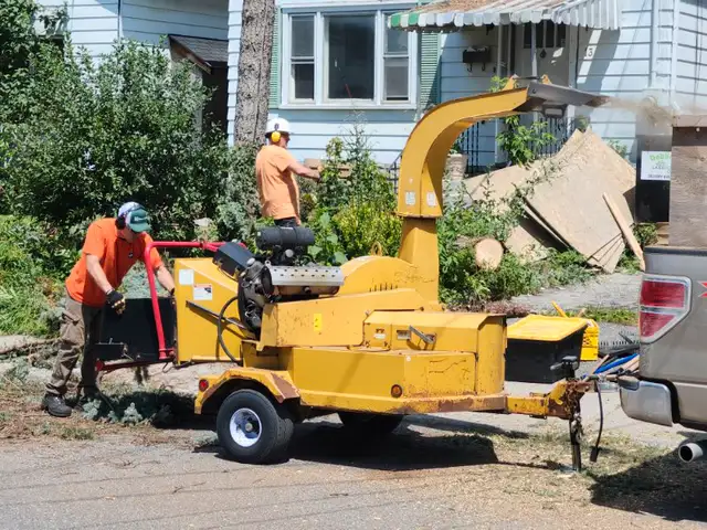 Tree Service63235065998081122