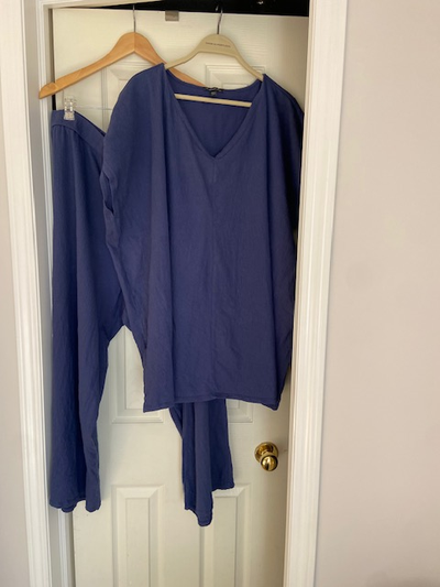 Eileen Fisher Blue Pant and Top Set, View more