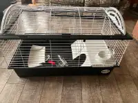 Cage for Guinea pig and or Rabbit