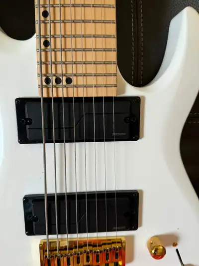 Upgraded 8 string Harley Benton with Fishman fluency pickups, View more