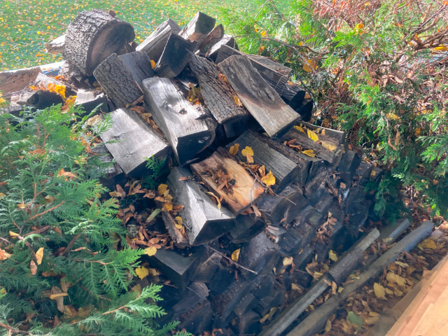 Linden / Basswood Firewood in Other in Kitchener / Waterloo