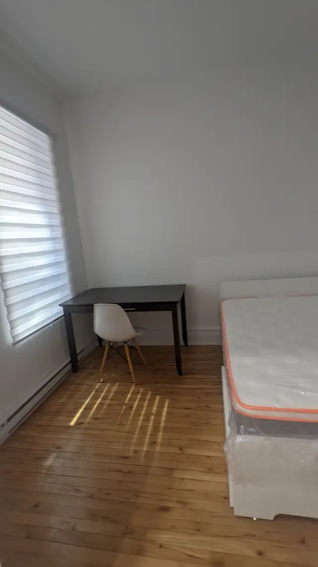 furnished 3 bedroom near McGill including utilities