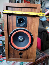 Cerwin Vega Speakers 