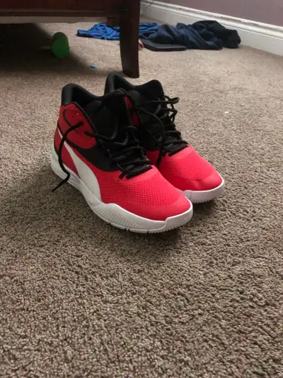 Brand new never worn size 11 men’s.